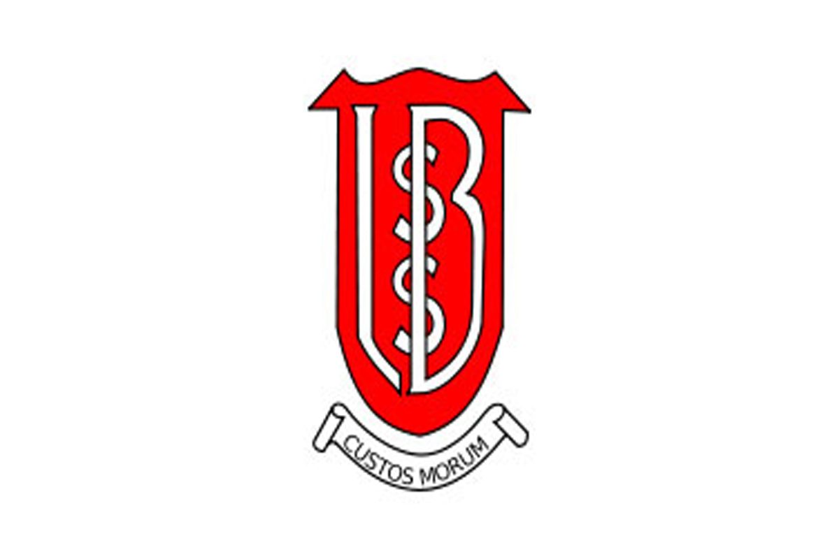 13.罗德伯英中学